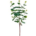 Vara De Eucalipto Gris