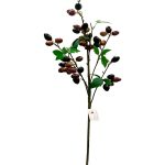 Olivo Tallo Delgado Burgundy