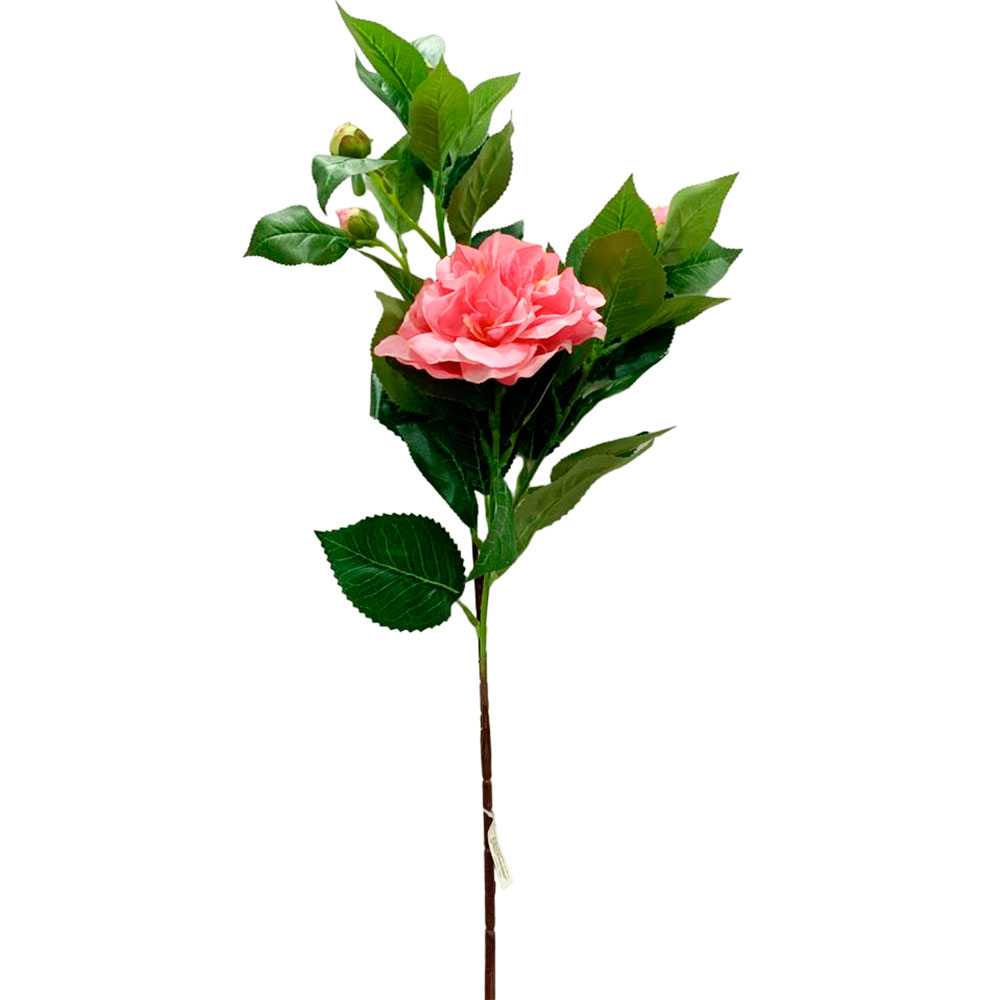 Camelia con Textura Natural