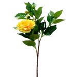 Camelia con Textura Natural