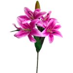 Lili con Textura Natural